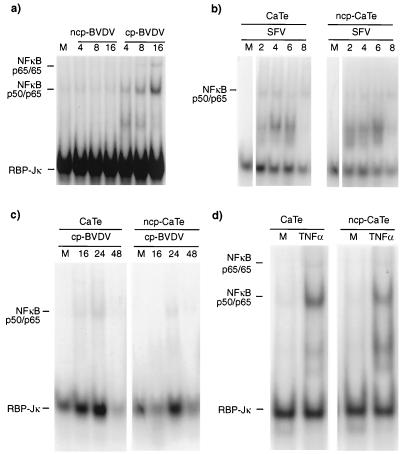 FIG. 6.