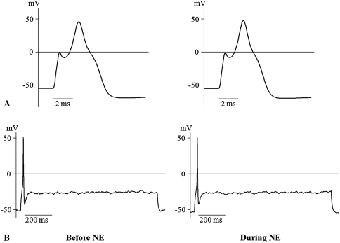 Fig. 4A–B