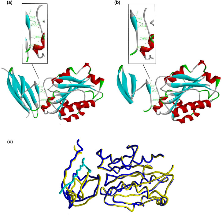 Fig 5