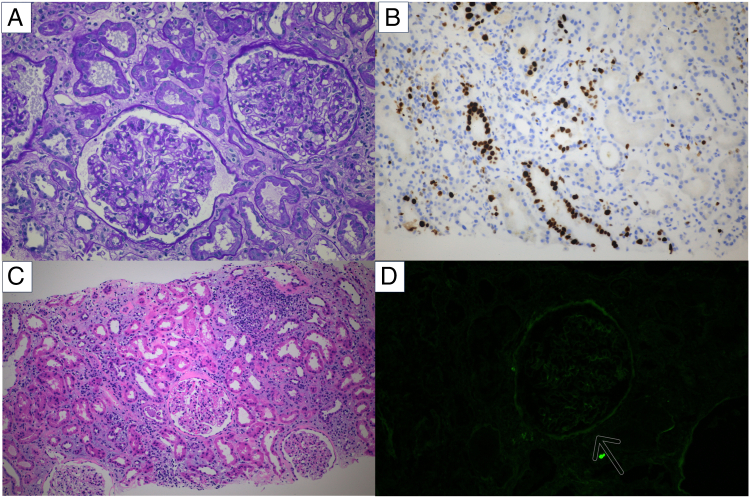 Figure 1