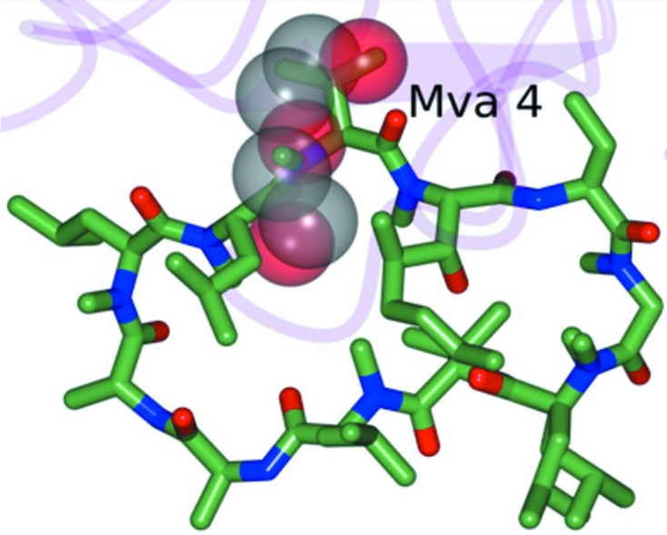 Figure 5