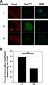 FIG 2