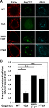 FIG 3