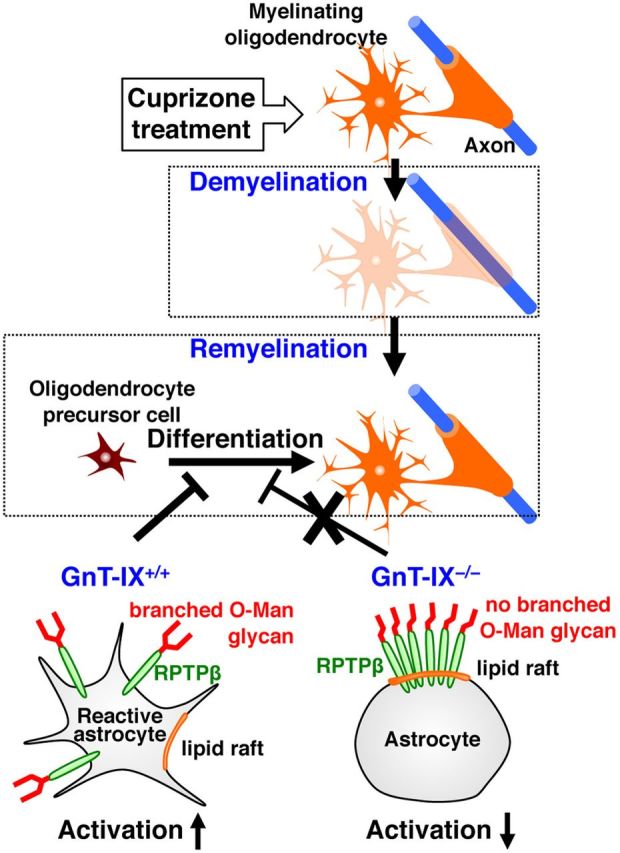 Figure 10.