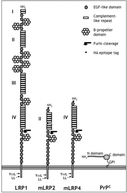 Fig. 1.