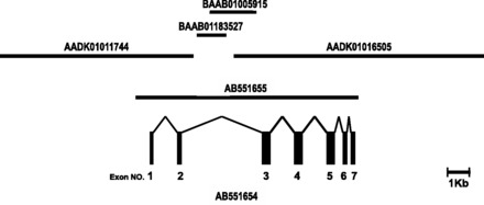 Fig. 5.