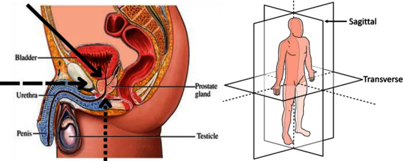 Fig. 1.