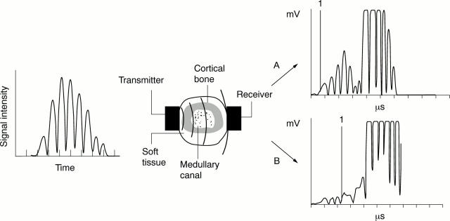 Figure 1  