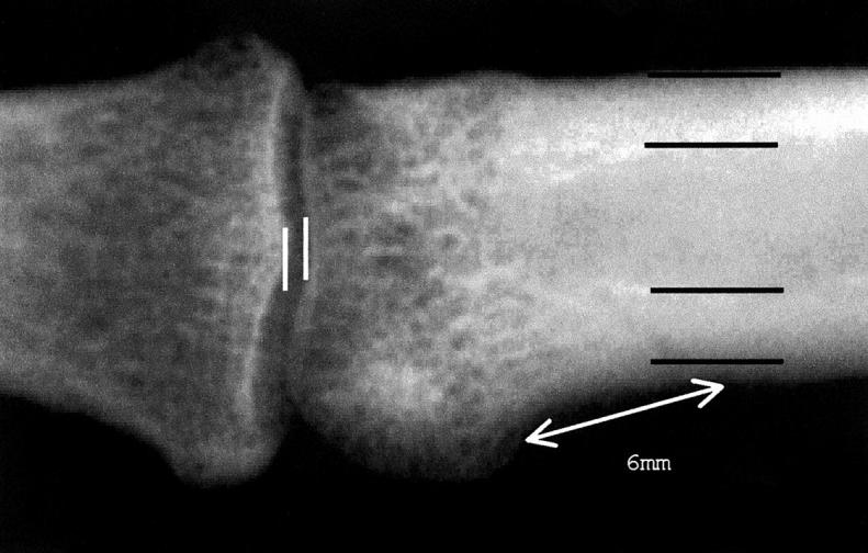 Figure 3  