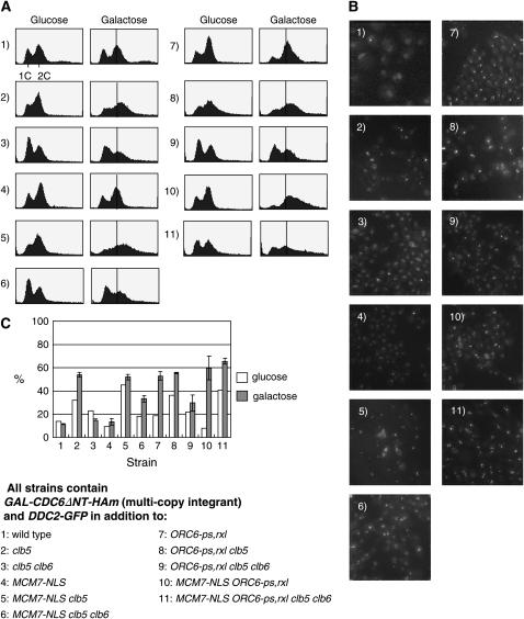 Figure 2.—