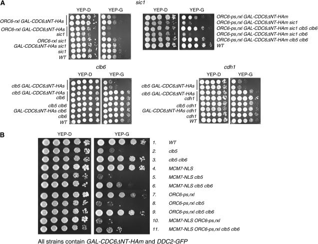 Figure 1.—