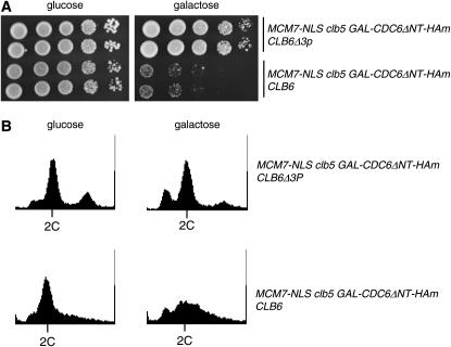 Figure 4.—