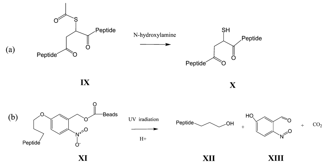 Scheme 2