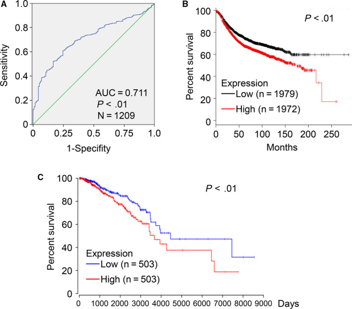 FIGURE 2