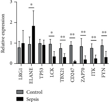 Figure 6