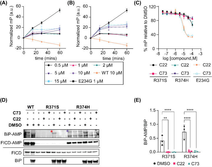 Figure 5: