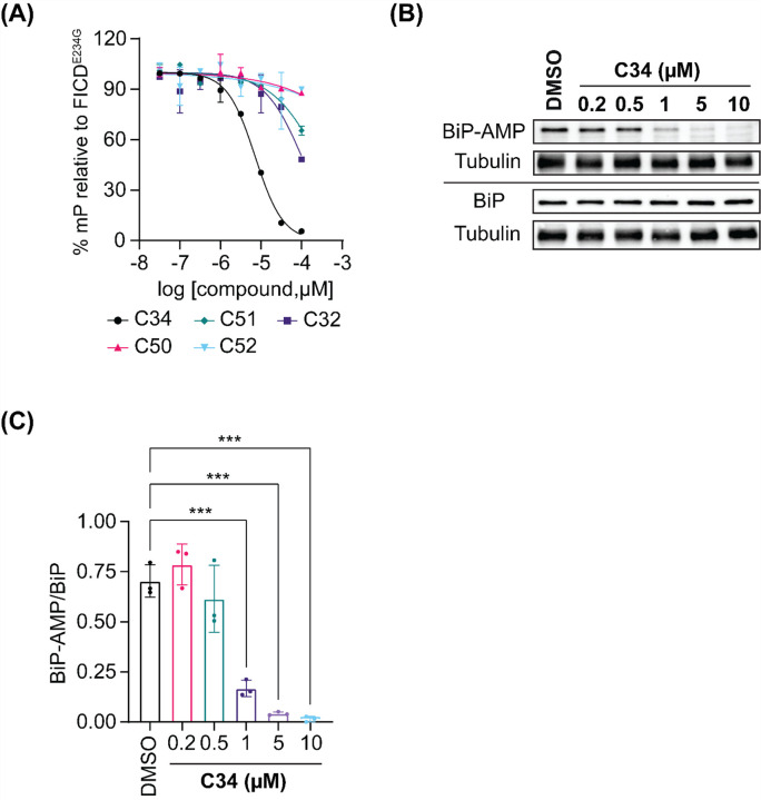 Figure 4: