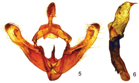 Figures 5–6.