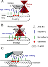 Figure 10.