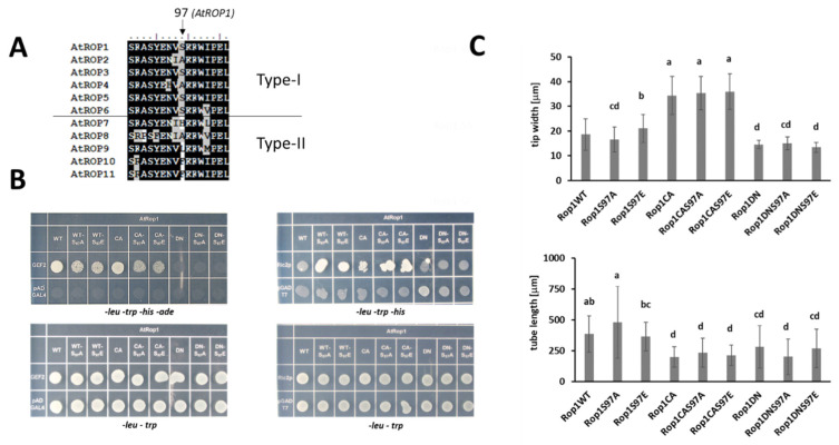 Figure 6