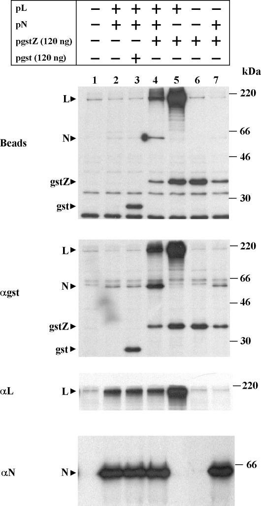 FIG. 3.