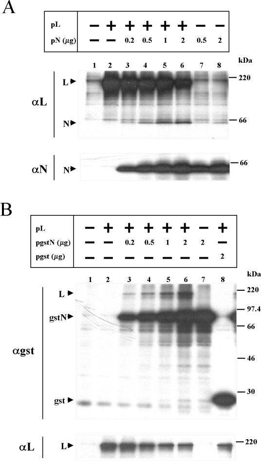 FIG. 5.