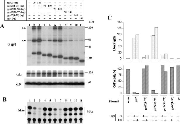 FIG. 8.