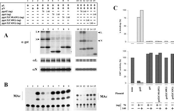 FIG. 7.