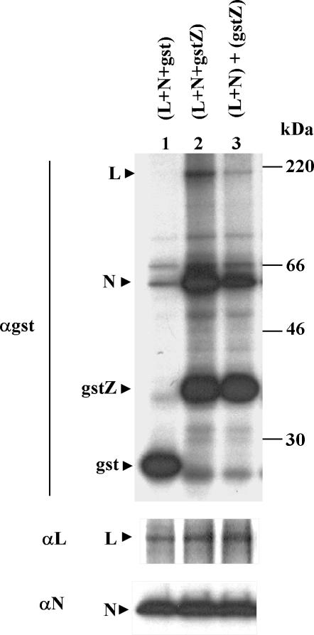 FIG. 4.