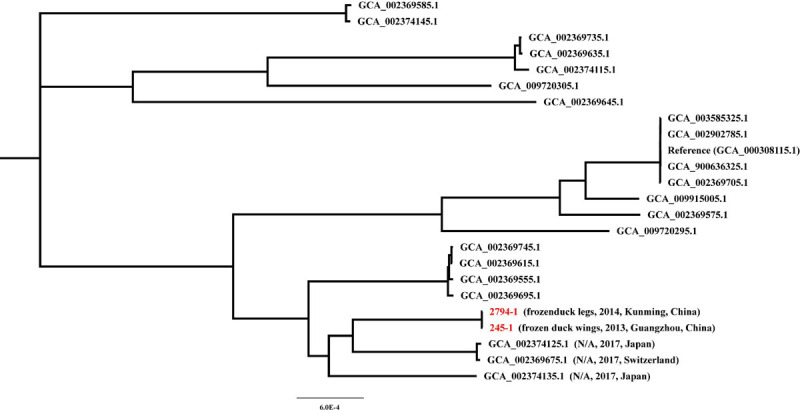 FIGURE 2