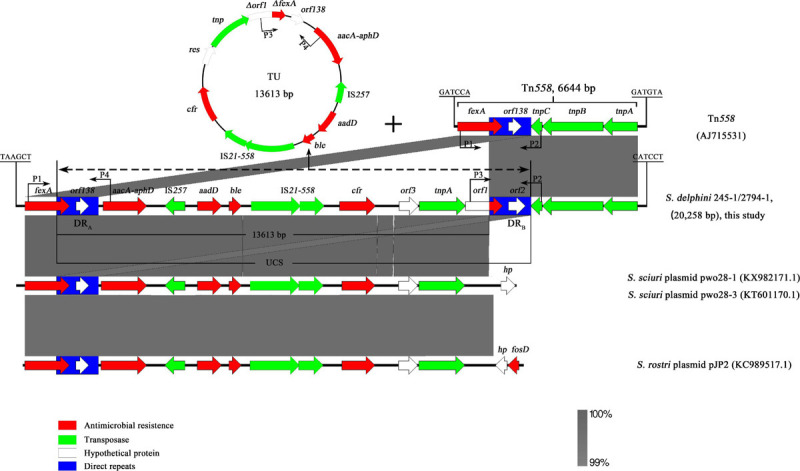 FIGURE 3