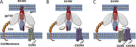 FIGURE 5.