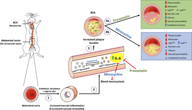 Figure 7.