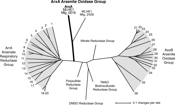 FIG. 7.