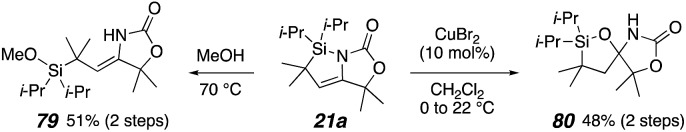 Scheme 9