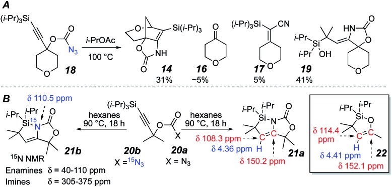 Scheme 4