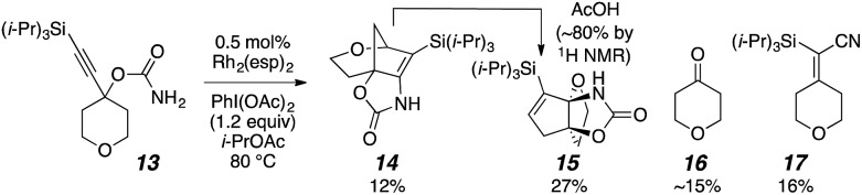 Scheme 3