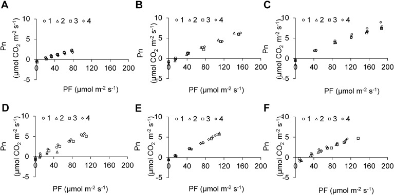 Figure 4. Effects of varying light quality (A: 405 nm, B: 450 nm, C: 470 nm, D: 630 nm, E: 660 nm, and F: 685 nm) on net photosynthetic rate (Pn) of everbearing strawberry plants ‘HS138’ grown under white FLs (100 µmol m−2 s−1). PF indicates photon flux. Net photosynthetic rates were measured using a portable photosynthesis system (LI-6400; Li-COR, Inc., USA). The legends indicate plant number used by measuring Pn.