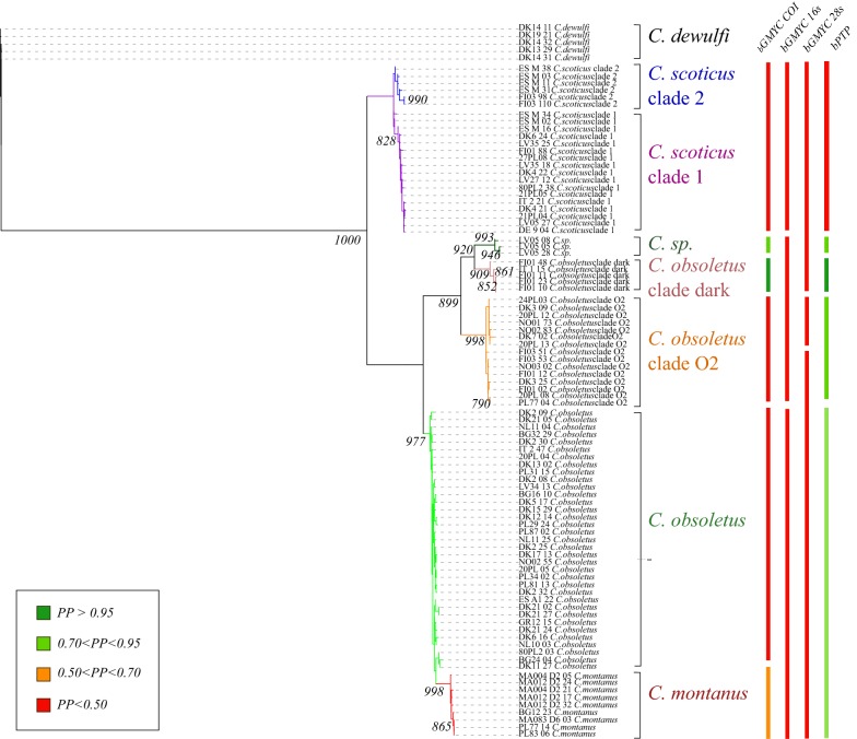 Fig. 4