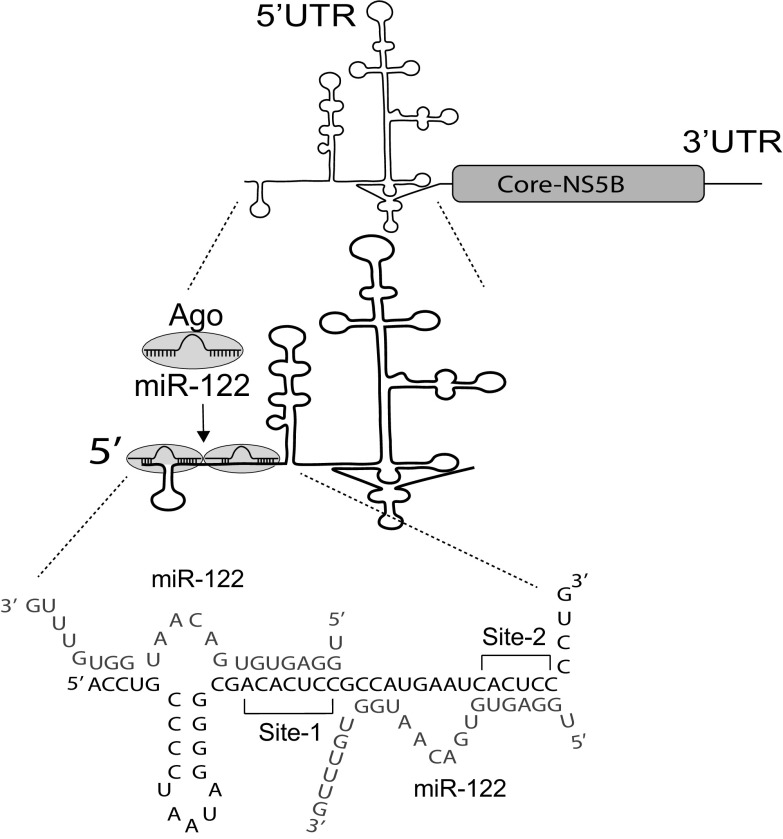 FIG 1