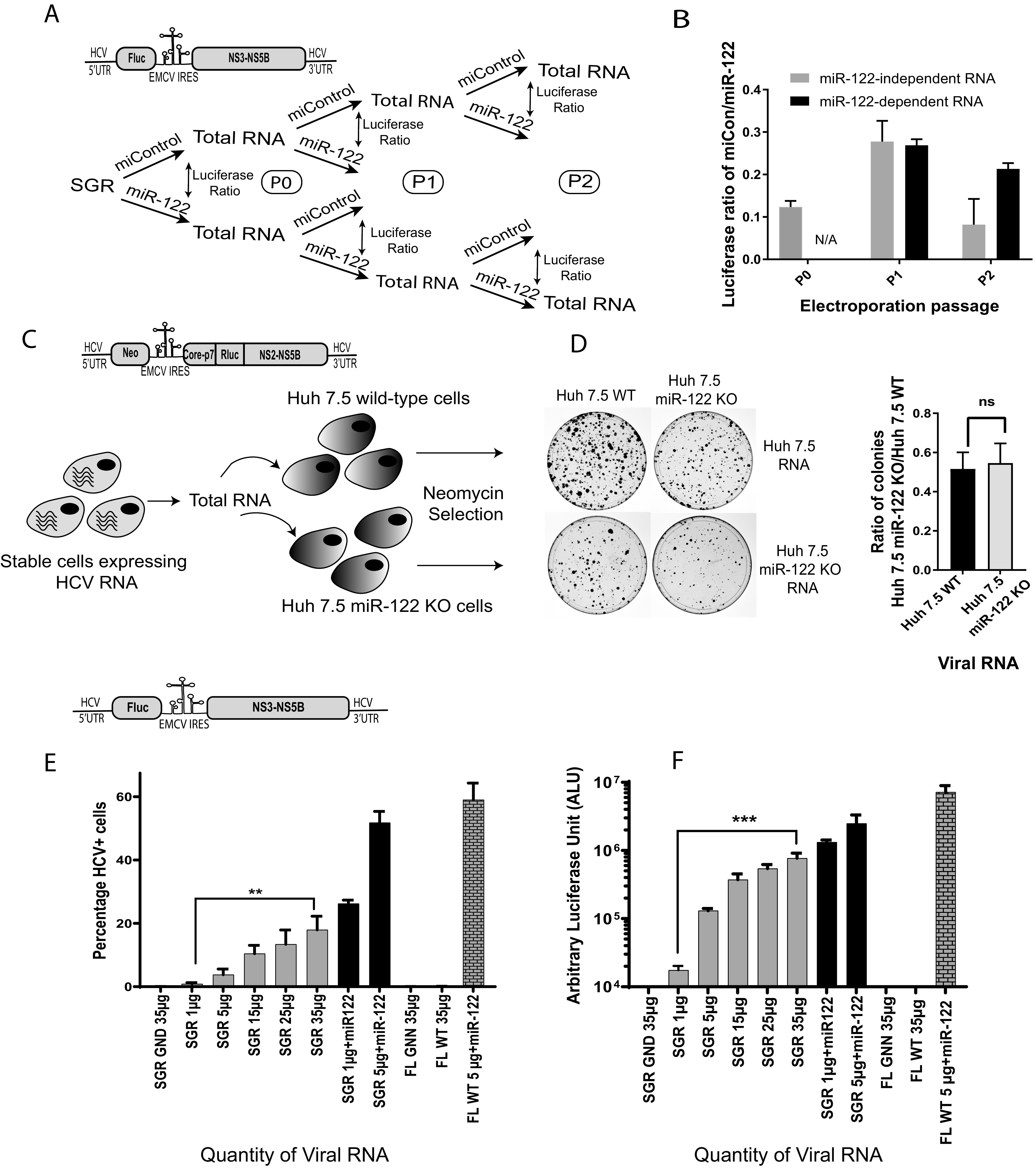 FIG 6