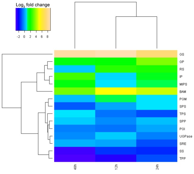 Figure 7