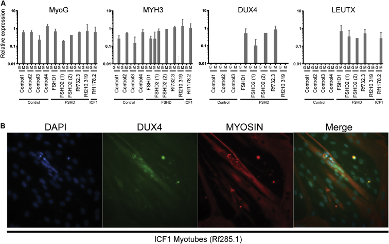 Figure 4