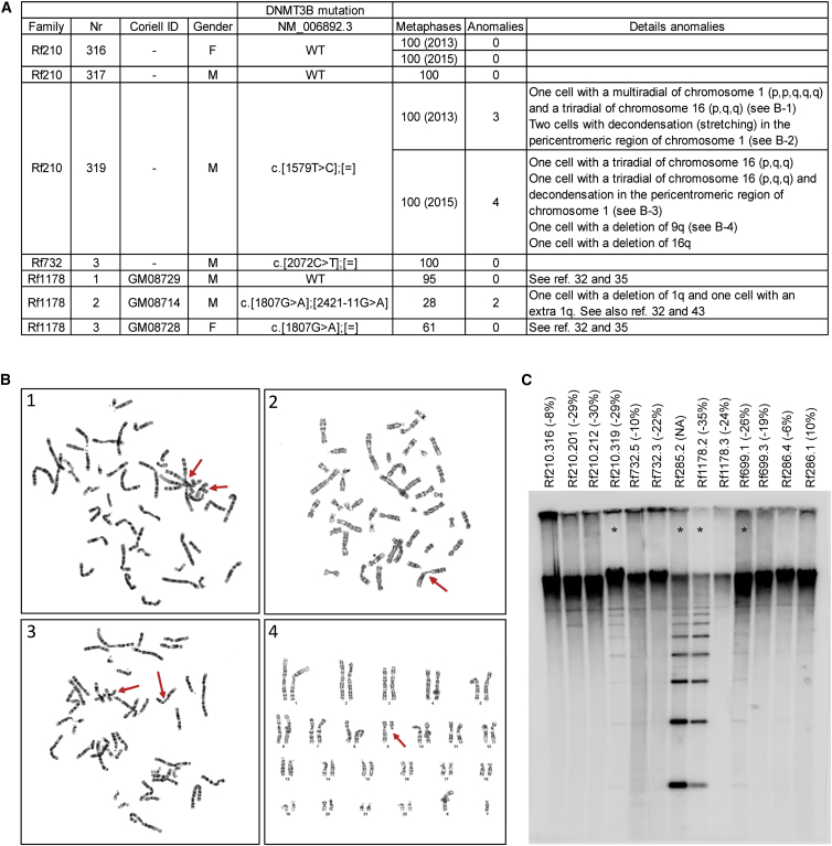 Figure 5