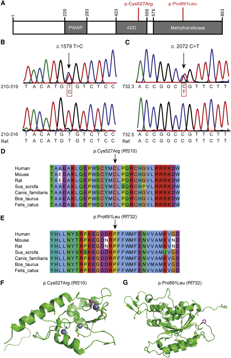 Figure 2