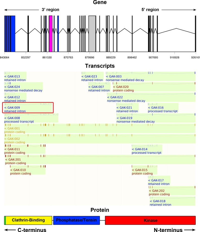 Fig 3