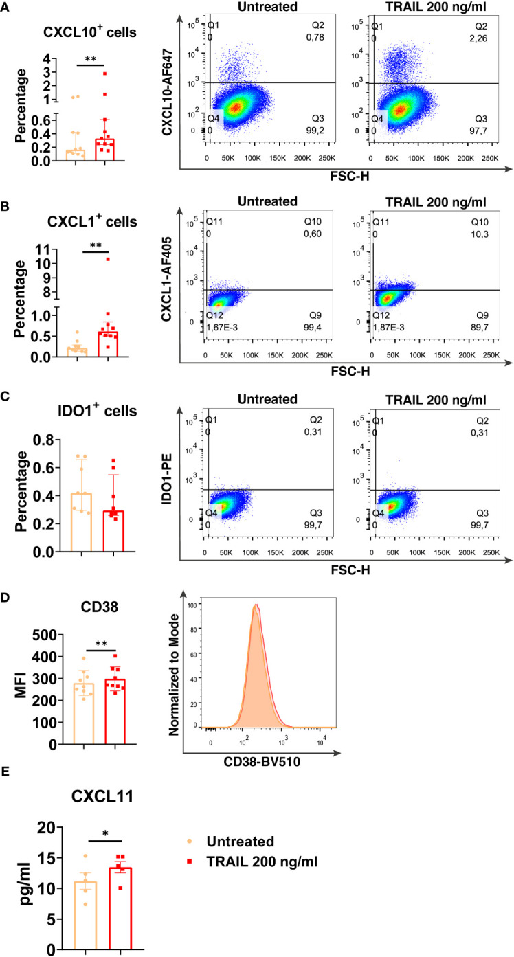 Figure 4