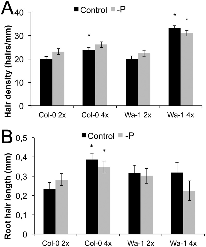 Fig 7