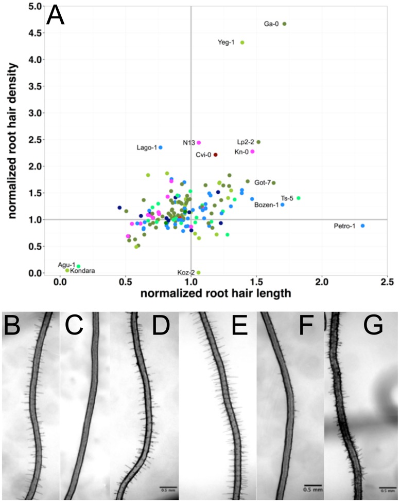 Fig 4