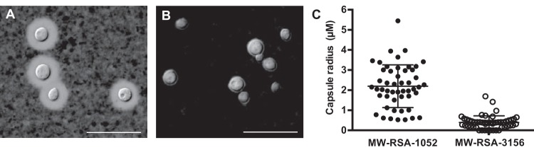 FIG 5 